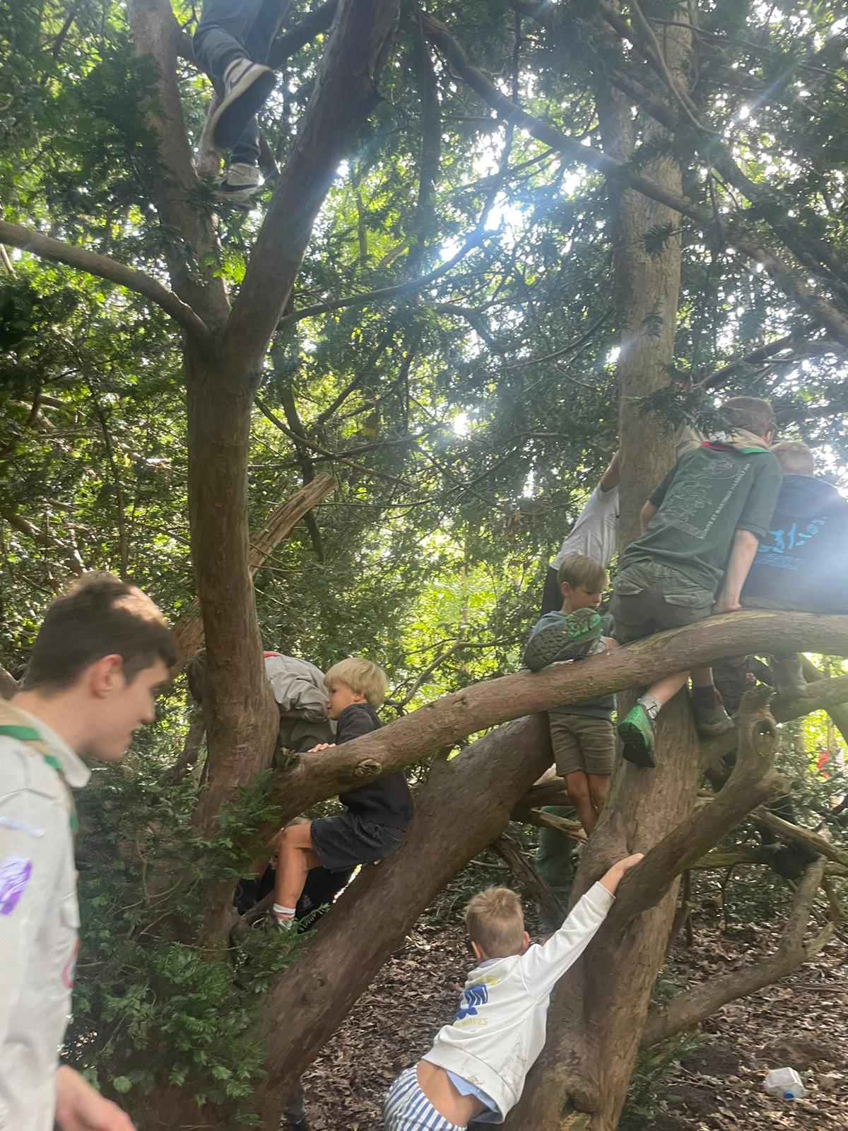 Sint-Martinus den XIIde - Opening 2024